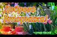 С Добрым Октябрьским Утром!Обалденная Открытка с Песней и Пожеланиями! Доброе Утречко! - YouTube