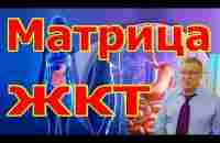 Настоящая Мощная Матрица ЖКТ и Мочеполовой Системы. - YouTube