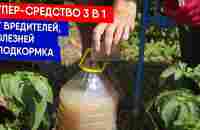 Супер-средство 3 в 1 - от вредителей, болезней + подкормка - YouTube