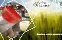 Целебная вода из кувшина Graf // Perfect Organics - YouTube