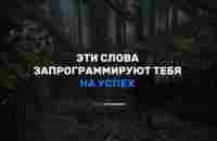 #мотивация #саморазвитие | TikTok