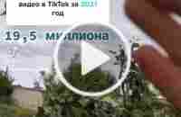 Ответ @tiktok #буднивдеревне #деревенскаяжизнь #тля #оттли #отвредител... | TikTok