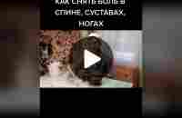 #безболивсуставах #боливмышцах #какубратьбольвспине | TikTok