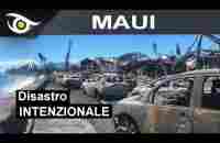 MAUI: disastro intenzionale - YouTube