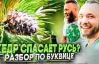 КЕДР – ЗАЩИТНИК ЗЕМЛИ РУССКОЙ? Разбор по буквице и посадка кедра! ОСОЗНАНКА - YouTube