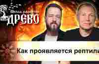 Как проявляется рептилия - YouTube