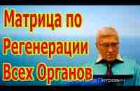 Редкая и Единственная Матрица по Регенерации Всех Органов. - YouTube