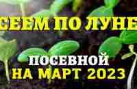 Когда сеять ДЛЯ БОЛЬШОГО УРОЖАЯ! Лунный посевной календарь на МАРТ 2023 #лунныйпосевнойкалендарь - YouTube