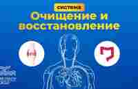 Система Очищение и восстановление - YouTube