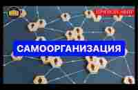 САМООРГАНИЗАЦИЯ - YouTube