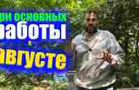 Ошибки пчеловодов в августе которые ослабляют пчелиные семьи или Пчелы слетают - YouTube