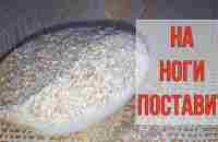 Старый Казах научил. Мозг НЕ усохнет даже в 80, ясный ум, чистый кишечник. Исцелит с головы до ног. - YouTube