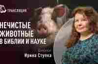 Нечистые животные в Библии и науке | Биолог Ирина Ступка - YouTube