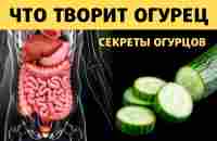 Удивительное Свойство ОГУРЦА. Чего Вы Не Знали - YouTube