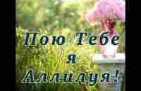 Господи Тебя хочу я славить (Пою Тебе я Аллилуя) - Папирники - YouTube