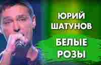 Юрий Шатунов - Белые розы /Легенды Ретро FM 2015 - YouTube