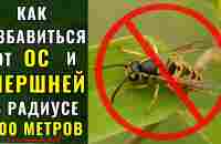 Как избавиться от ОС и ШЕРШНЕЙ в радиусе 500 метров, очень Надолго. - YouTube