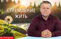 Стремление жить - YouTube