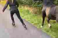 Dog vs. horse [Video] | Horses, Funny horses, Cute horse pictures