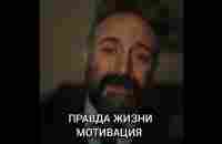 Правда жизни. Золотые слова. Сильные слова. Мотивация - YouTube