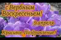 С Вербным Воскресеньем поздравление! - YouTube