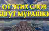 Очень душевный стих А знаешь жизнь загадочная штука Дмитрий Кудрявцев Читает Леонид Юдин - YouTube