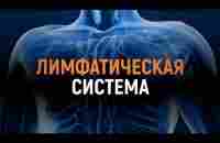 Лимфа. Признаки застоя лимфы в организме. Очищение организма - YouTube