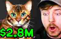 Rarest Pets Ever! - YouTube