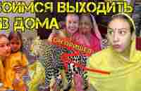 Леопард гуляет по нашему городу. Живем в джунглях. Праздник Халди перед индийской свадьбой дяди - YouTube