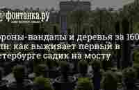 Как выживает и сколько стоит первый в Петербурге садик на Синем мосту - 31 мая 2023 - Фонтанка.Ру