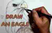 Draw an eagle - YouTube