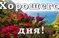 Хорошего дня и отличного настроения! - YouTube