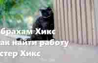 Абрахам Хикс – Как найти работу – Эстер Хикс - YouTube