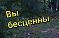 Всё верно. #бесценные #сравнения #мысли #афоризмы #ценитесебя | TikTok