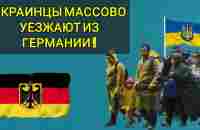 ПОЧЕМУ УКРАИНСКИЕ БЕЖЕНЦЫ УЕЗЖАЮТ ИЗ ГЕРМАНИИ !  КУДА ОНИ ПЕРЕЕЗЖАЮТ ?