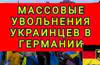 БЕЖЕНЦЕВ  НАЧАЛИ  МАССОВО  УВОЛЬНЯТЬ В ЕВРОПЕ !! КАК ПО КОМАНДЕ !!