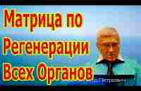 Редкая и Единственная Матрица по Регенерации Всех Органов. - YouTube