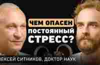 Какие сигналы нам дает мозг? Алексей Ситников про причины рака, гормон смерти и умение слушать себя - YouTube