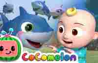 Baby Shark | CoComelon Nursery Rhymes & Kids Songs - YouTube