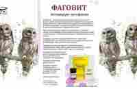 Петр Анатольевич Солдатенков о своей новой компании Сово- Сова и результатах по ее продукции. - YouTube