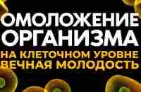 ОМОЛОЖЕНИЕ и ОЗДОРОВЛЕНИЕ организма на КЛЕТОЧНОМ УРОВНЕ | медитация - YouTube