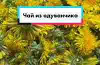 Чай из одуванчика. #одуванчики #чайизодуванчика #одуванчик #чайсвоимир... | TikTok