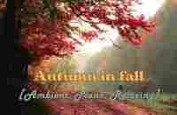 Autumn Music No Copyright Recproduction - Autumn in fall [Ambient, Piano, Relaxing] - YouTube