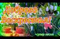 С Добрым Утром Августа!Обалденная Открытка с Песней и Пожеланиями! Доброе Утречко! - YouTube