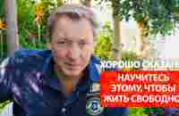 Научитесь этому, чтобы жить свободно! / Роман Василенко - YouTube