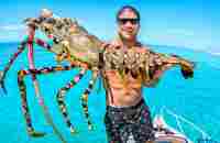 Can I Cook Giant Lobster Using The Sun? - YouTube