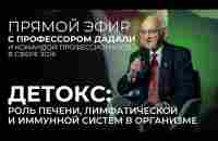 Детокс: роль печени, лимфатической и иммунной систем в организме