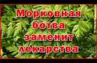 Морковная ботва заменит лекарства - Carrot tops will replace drugs - YouTube