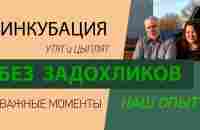 Инкубация без задохликов / Чем кормить цыплят / Ответы на вопросы - YouTube