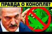 КОНОПЛЯ - СЕНСАЦИЯ, О КОТОРОЙ МОЛЧИТ ОФИЦИАЛЬНАЯ МЕДИЦИНА - YouTube